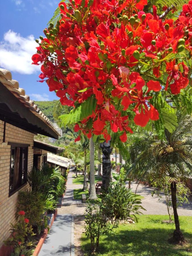 Chales Do Holandes Eco Pousada Inn 2*